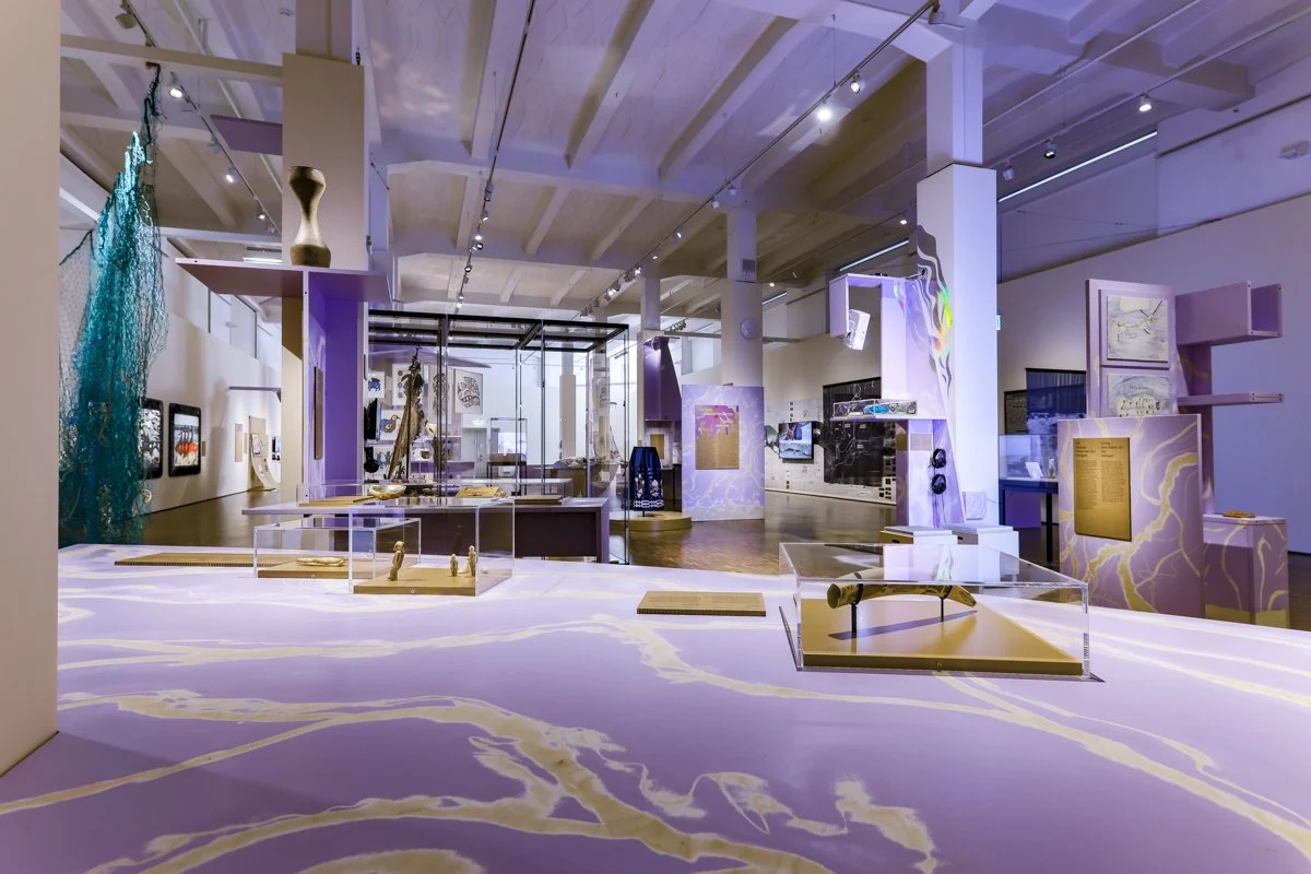  Photo Credit: Paul Schimweg 