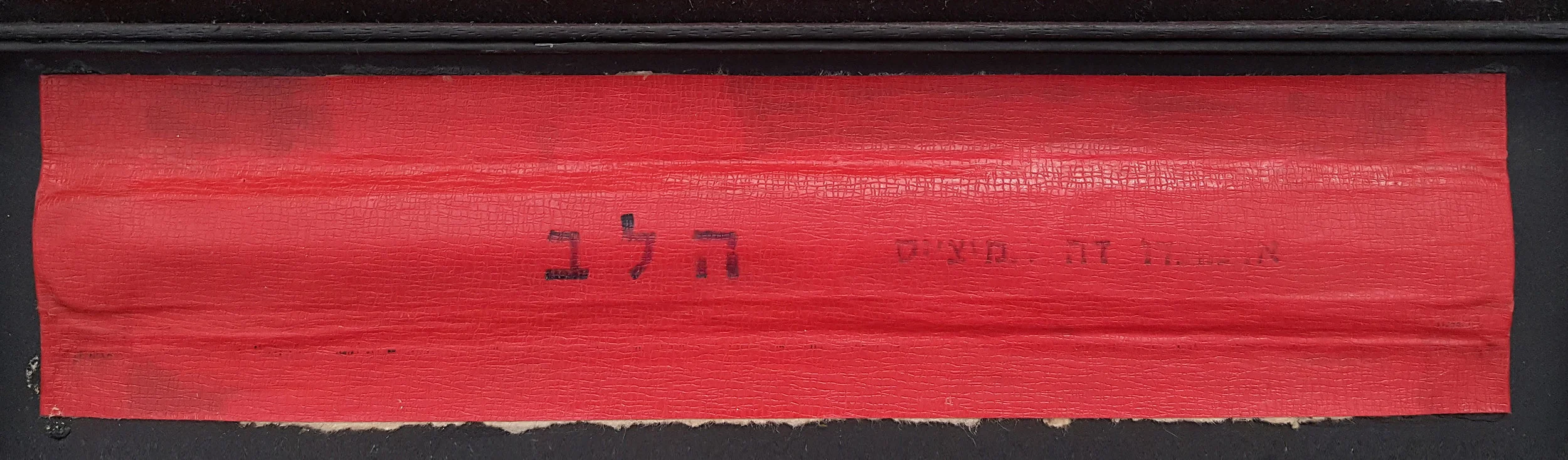 דרורה ויצמן, סודות הטבע 2018 (פרט) אסמבלאז'