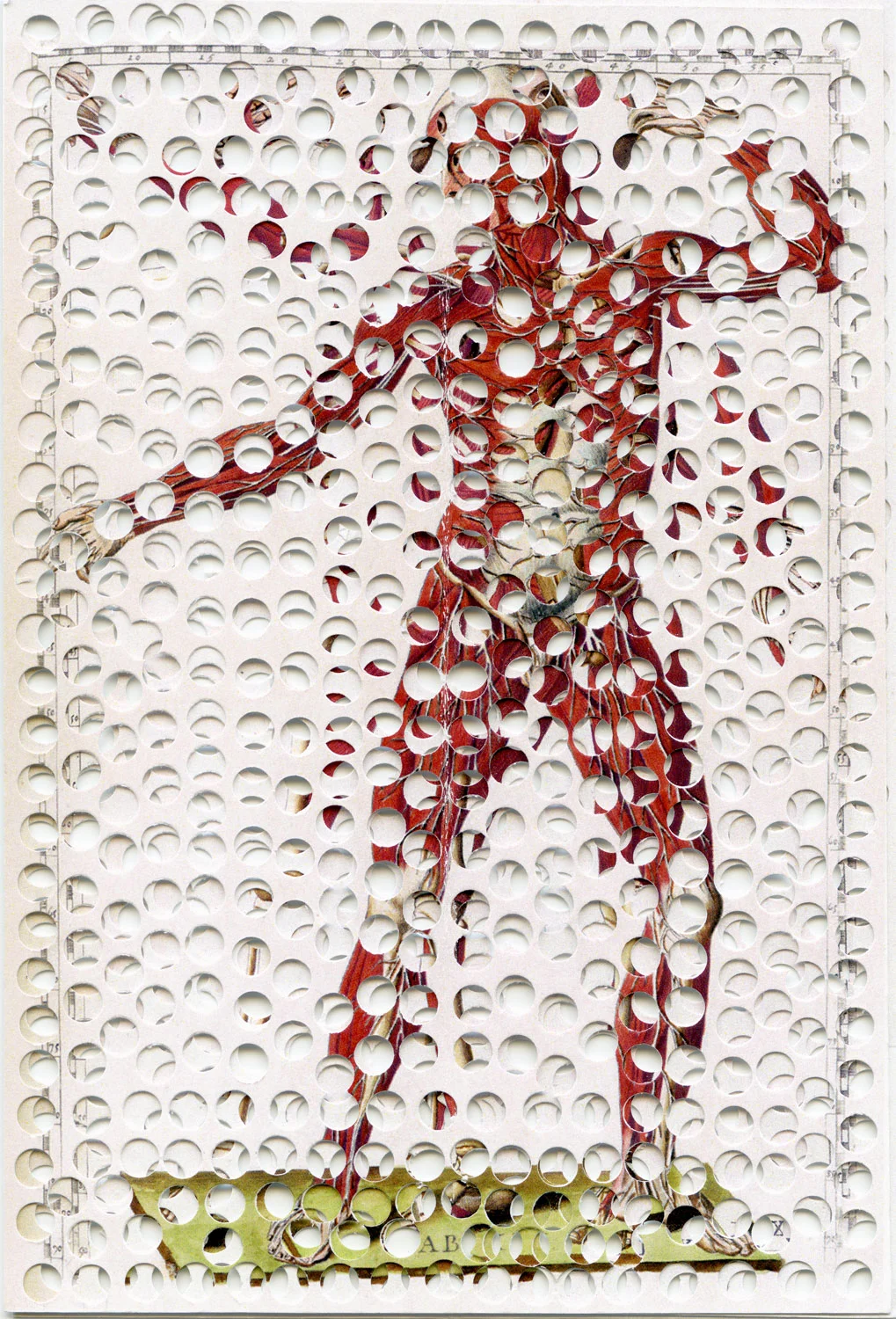 עדי ברנדה, After Bartolomeo, הזרקת דיו על נייר ארכיבי, 131X90 ס"מ, 2016