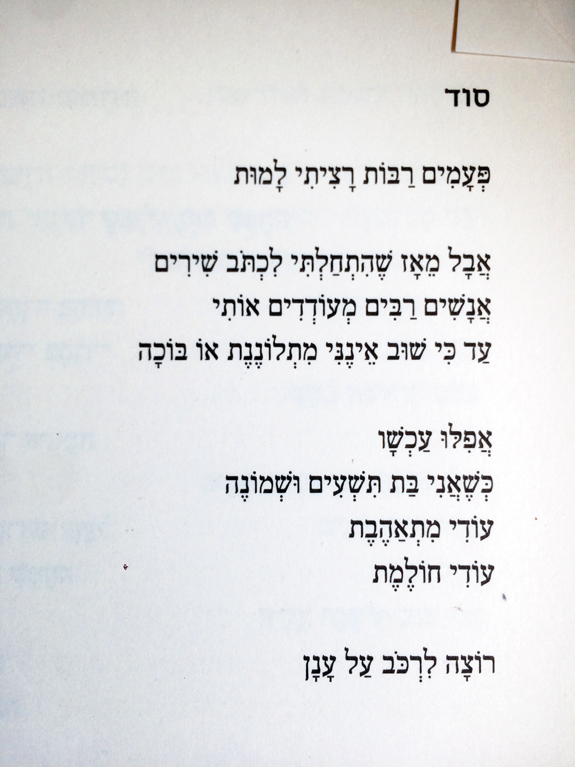 שיבַּטה טוֹיוֹ