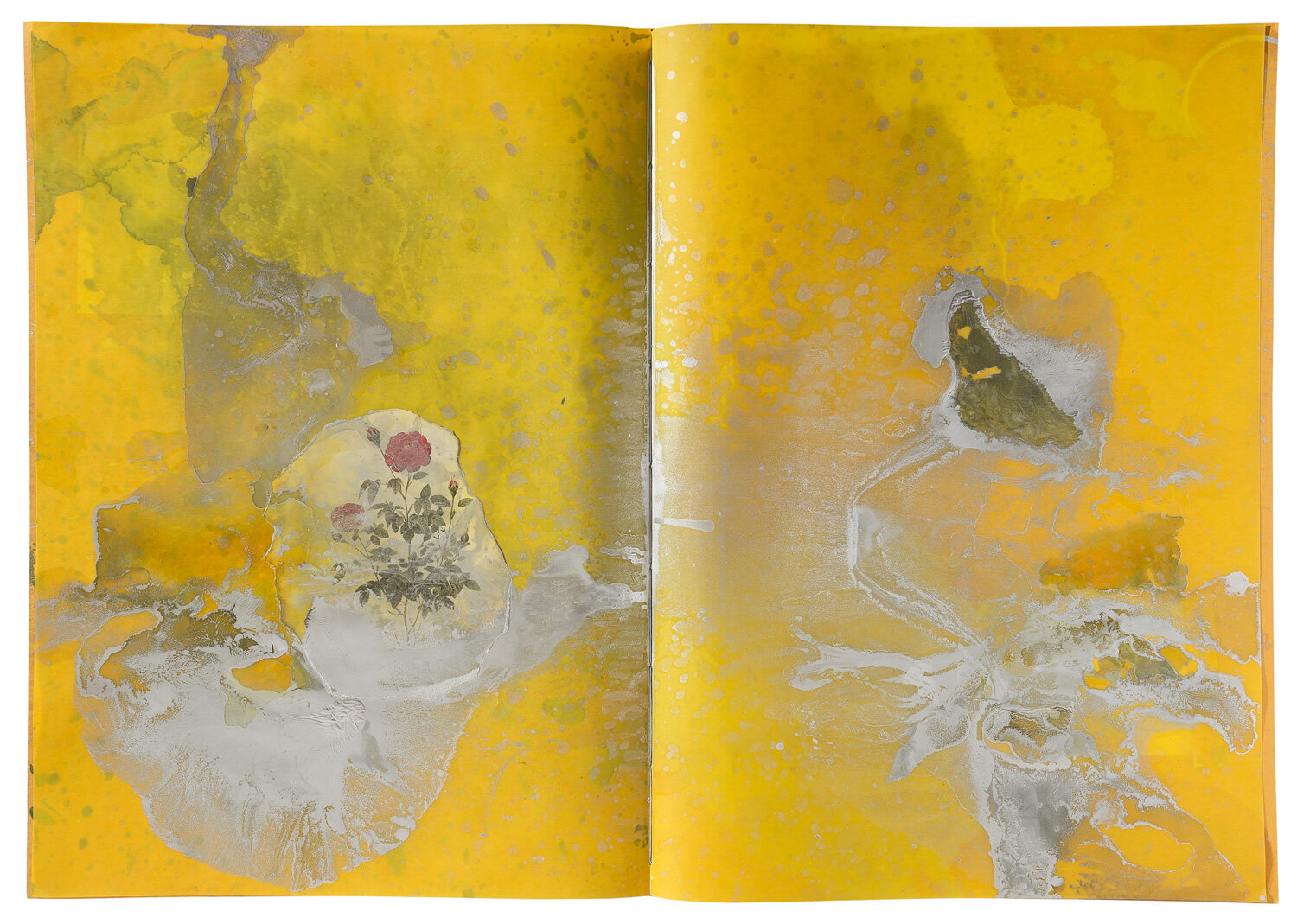 מירית צרו'ינסקי, טבע דומם זהב וכסף, ספר אמן, טכניקה מעורבת על נייר, 2016 | קרדיט צילום: יורם רשף