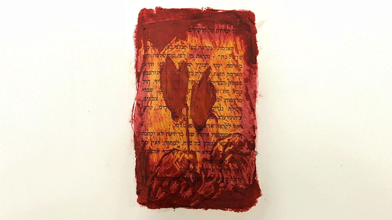 אמניות בגלריה - דנה מנור כהן, הדר גד ורותי הלביץ כהן