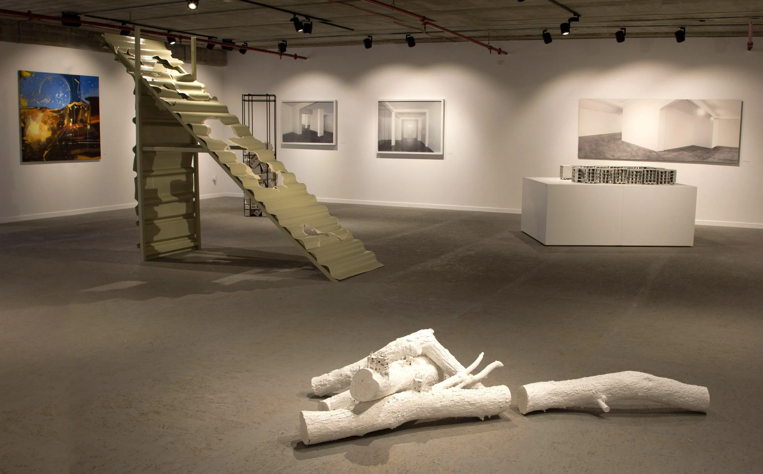 01 טוי טוי טוי.jpg