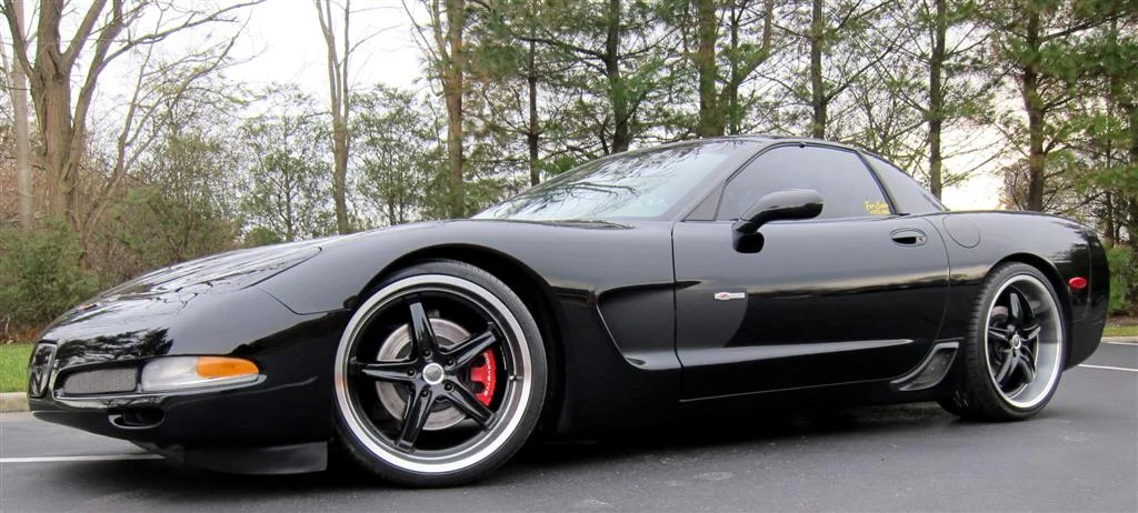 IMG_2575 (Large).JPG