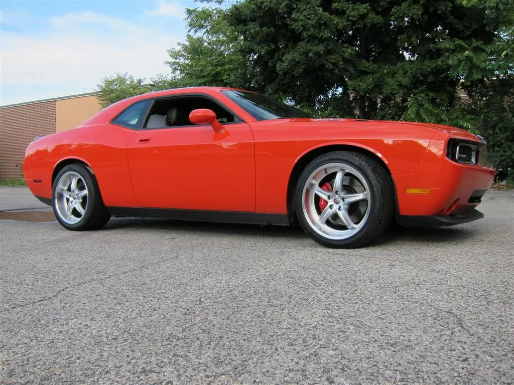 IMG_2061 (Large).JPG