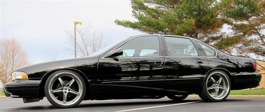 IMG_2611 (Large).JPG