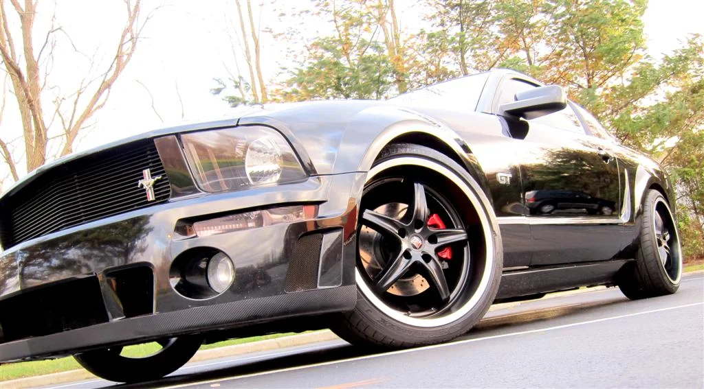 IMG_2640 (Large).JPG