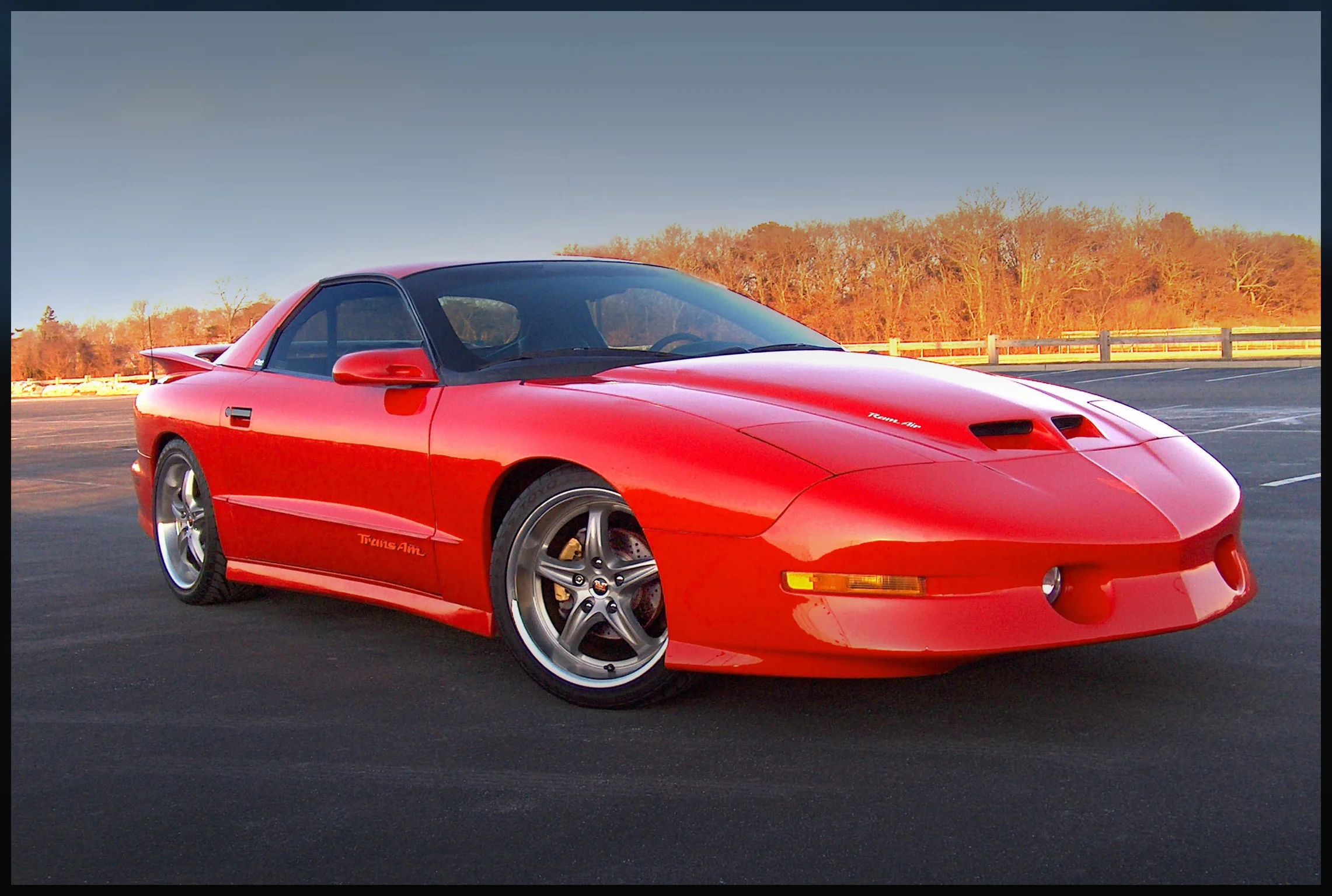TransAm Tom.JPG