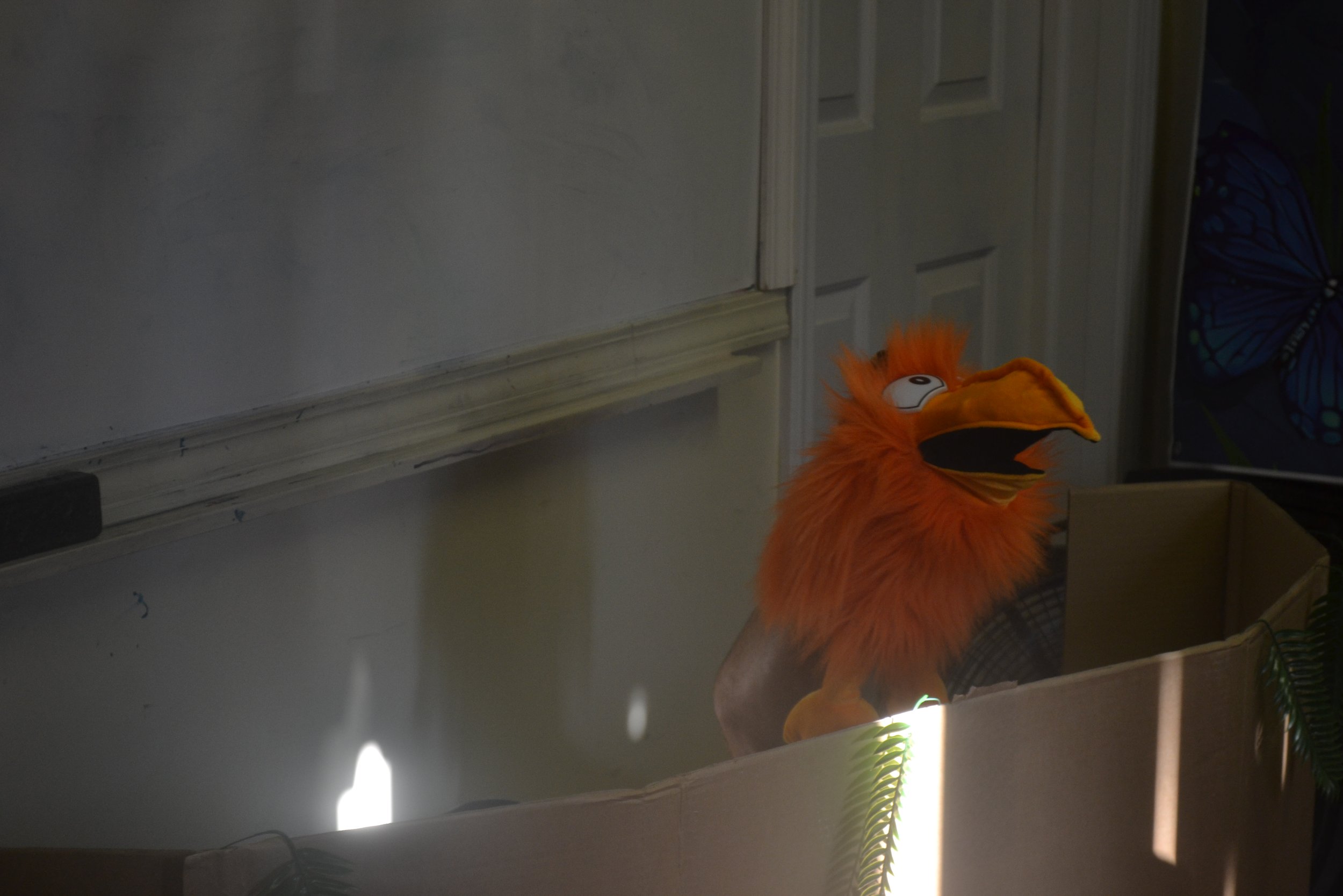 DSC_0070.JPG