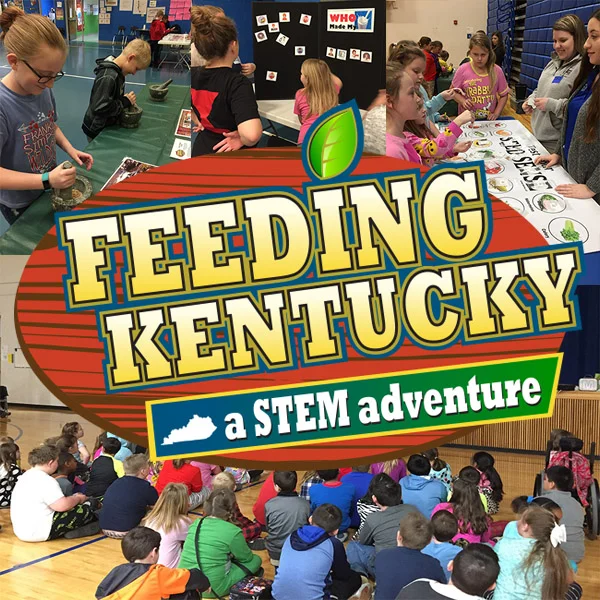Feedingky.jpg