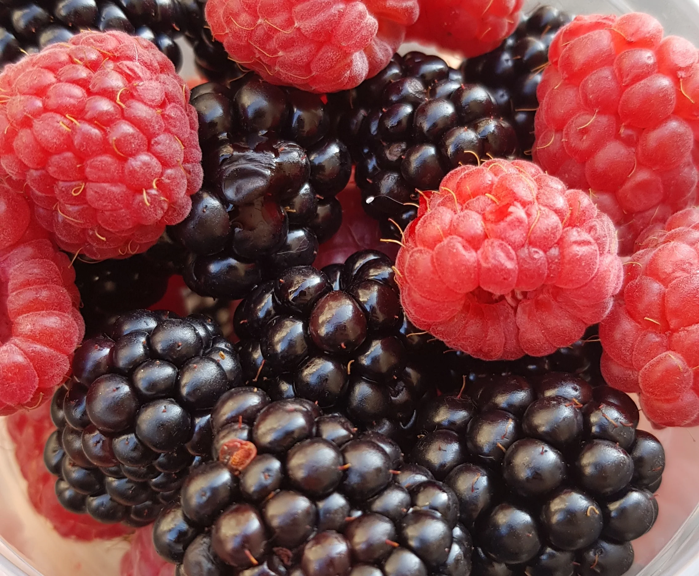 20190707_105740+%281%29.jpg