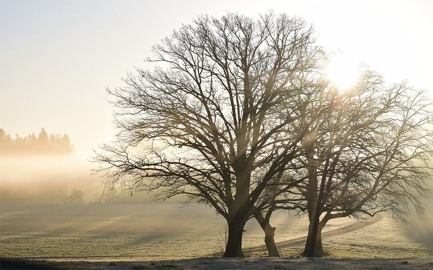 'Tive meu salário reduzido. E agora?'