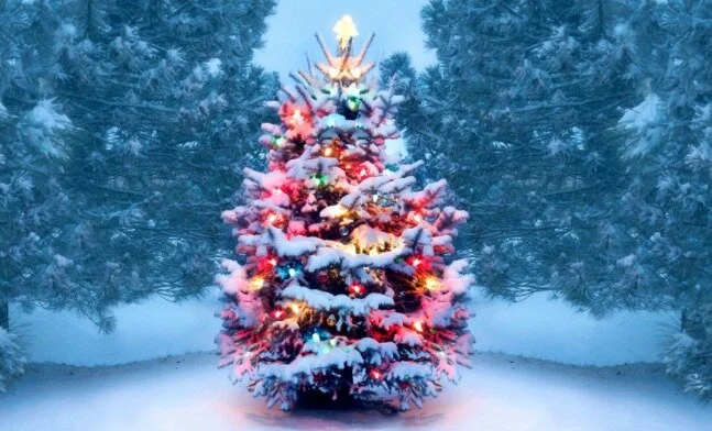 Gaste dinheiro com alguém que não seja você 