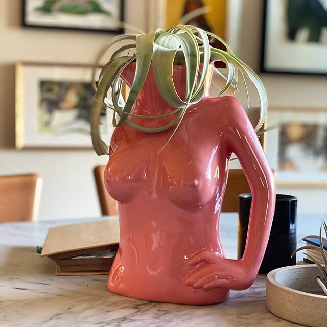 My Jugs Jug super special happiness making congratulations gift from @anissakermiche is topped with an air plant until I fill it with a magical drink yet to be determined. Thank you! I love it. Your book is on its way! 😘😘😘 PS This is the same desi