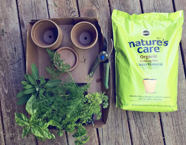 Around here | DIY herb garden