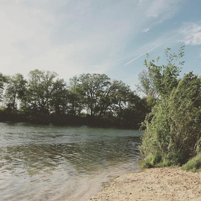 Around here | Sunday at the dog park
