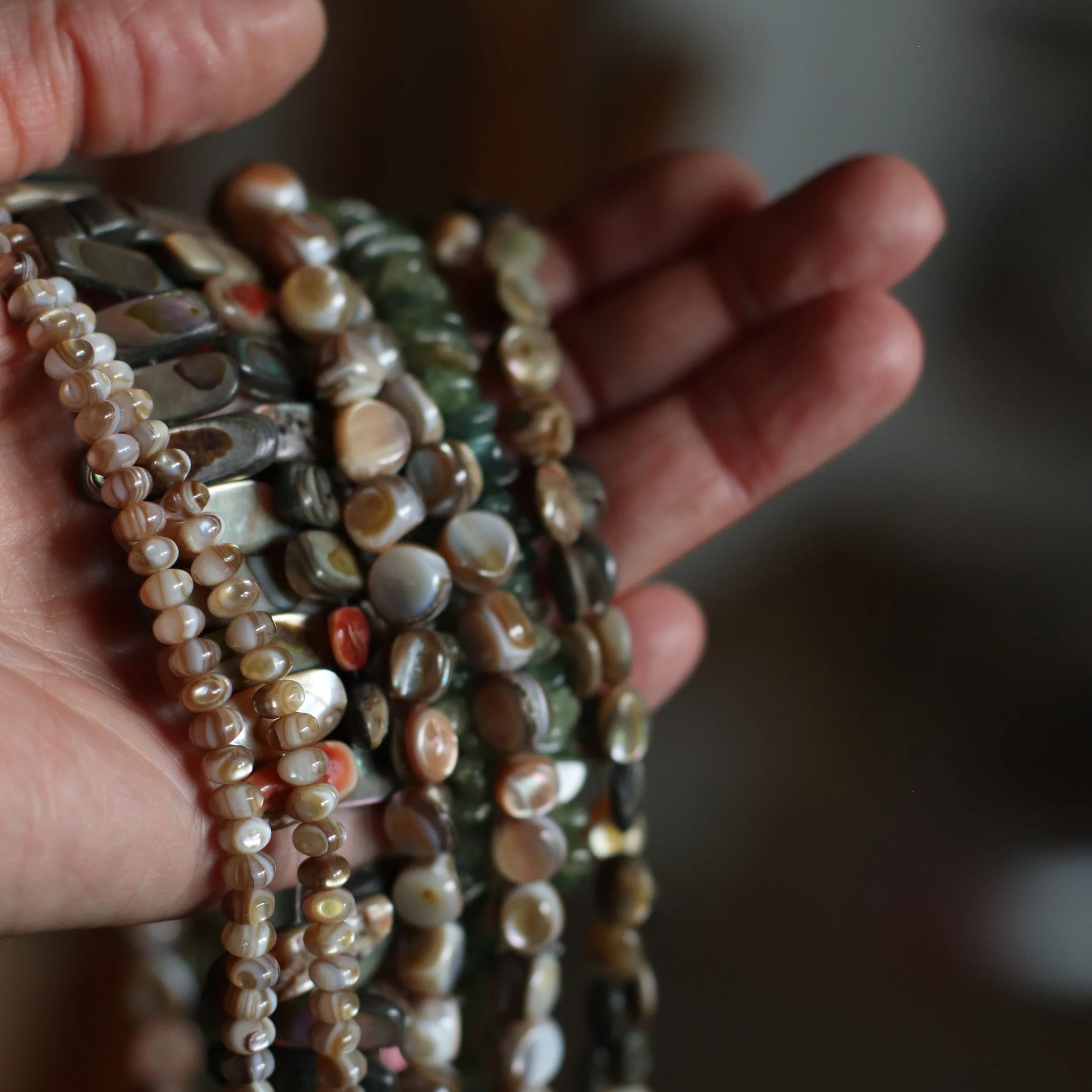 Shells, pearls and Apatite, oh my! ✨