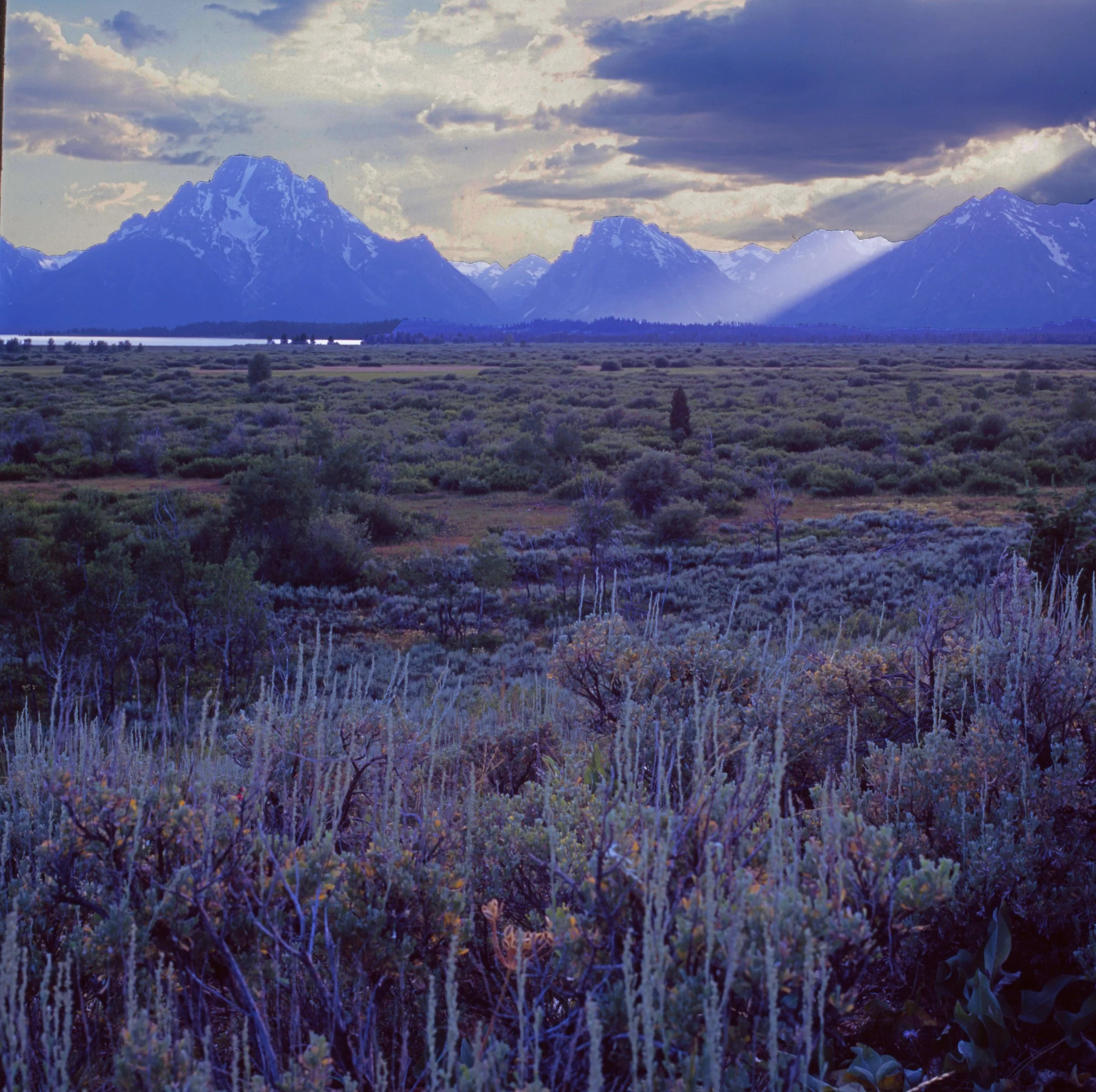 2025GrandTetonsMF copy.jpg