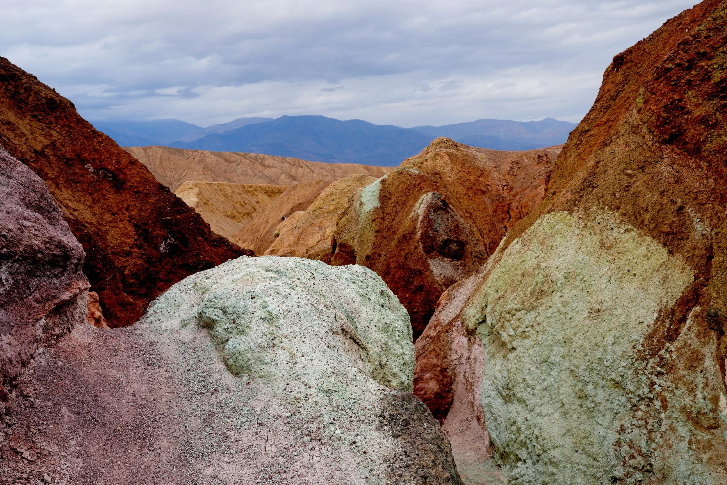 2026ArtistPallette2 copy.jpg