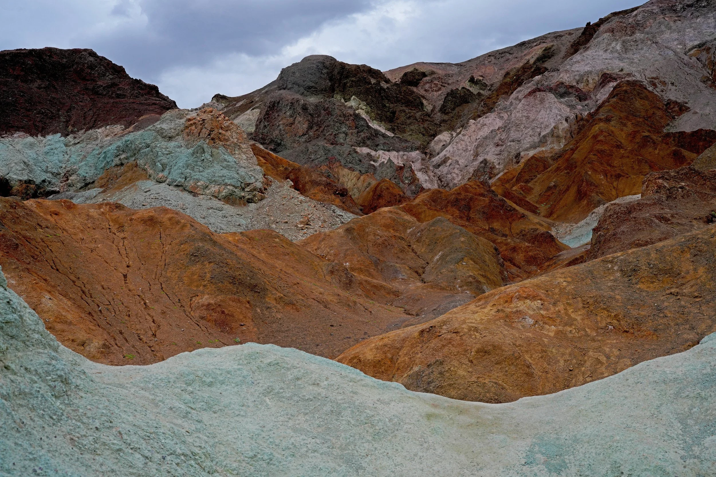 2026ArtistsPallet4 copy.jpg