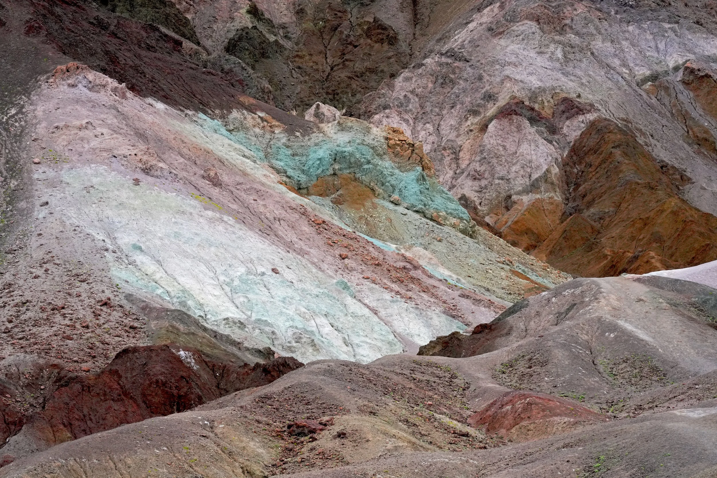 2026ArtistsPallette1 copy.jpg