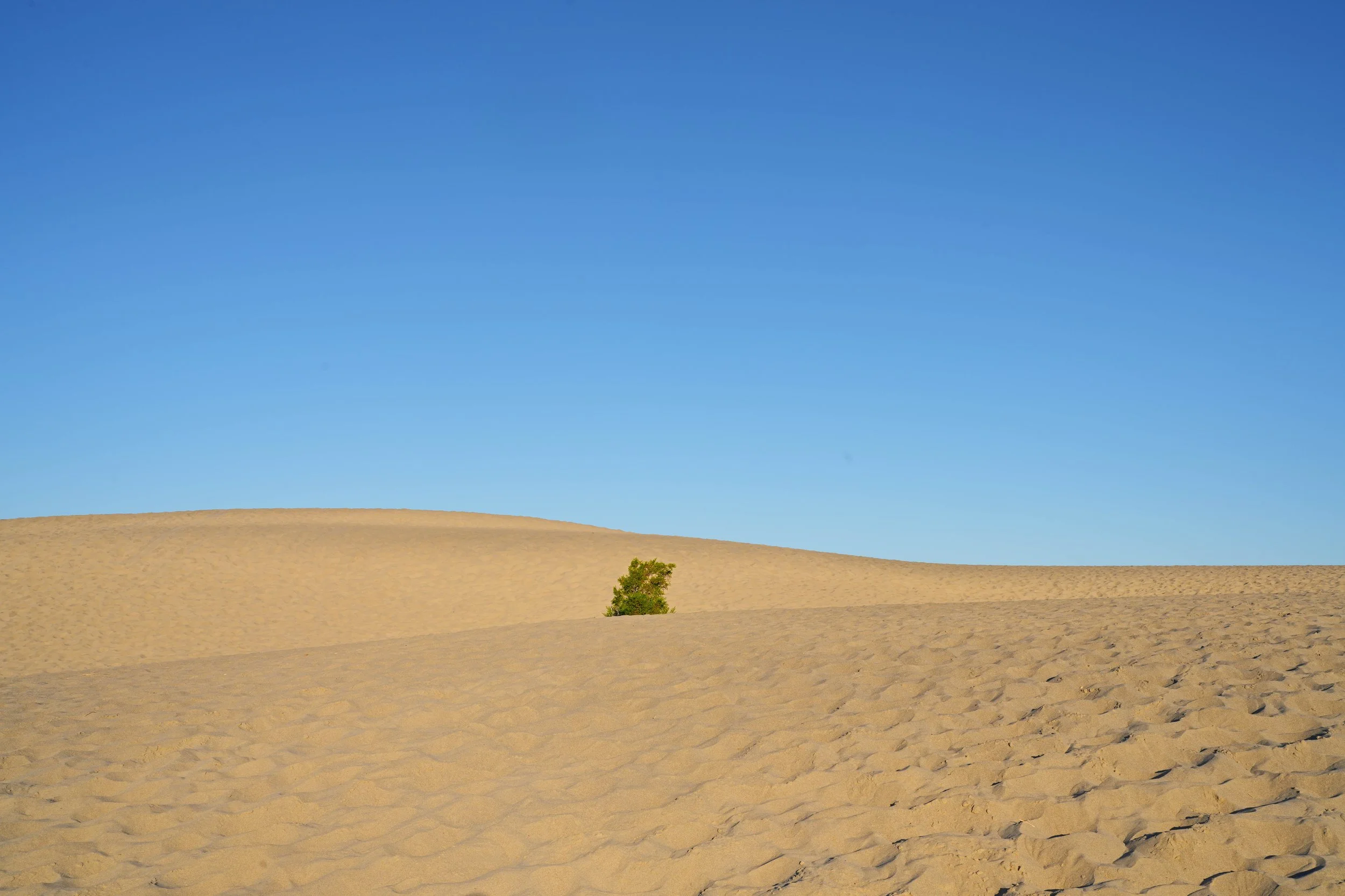 Dunes, Lone Plant, Death Valley