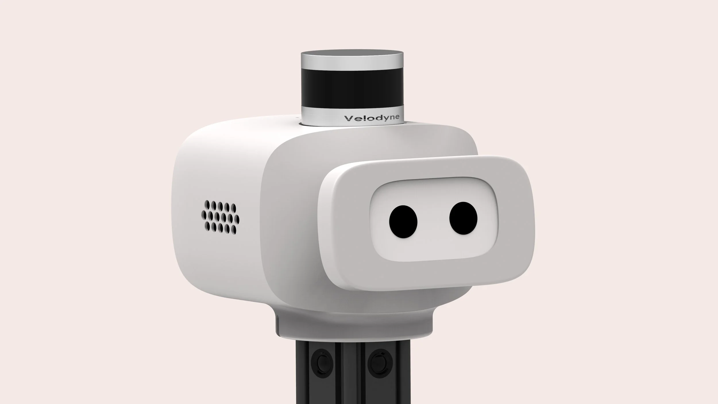 stanford robot head p.jpg