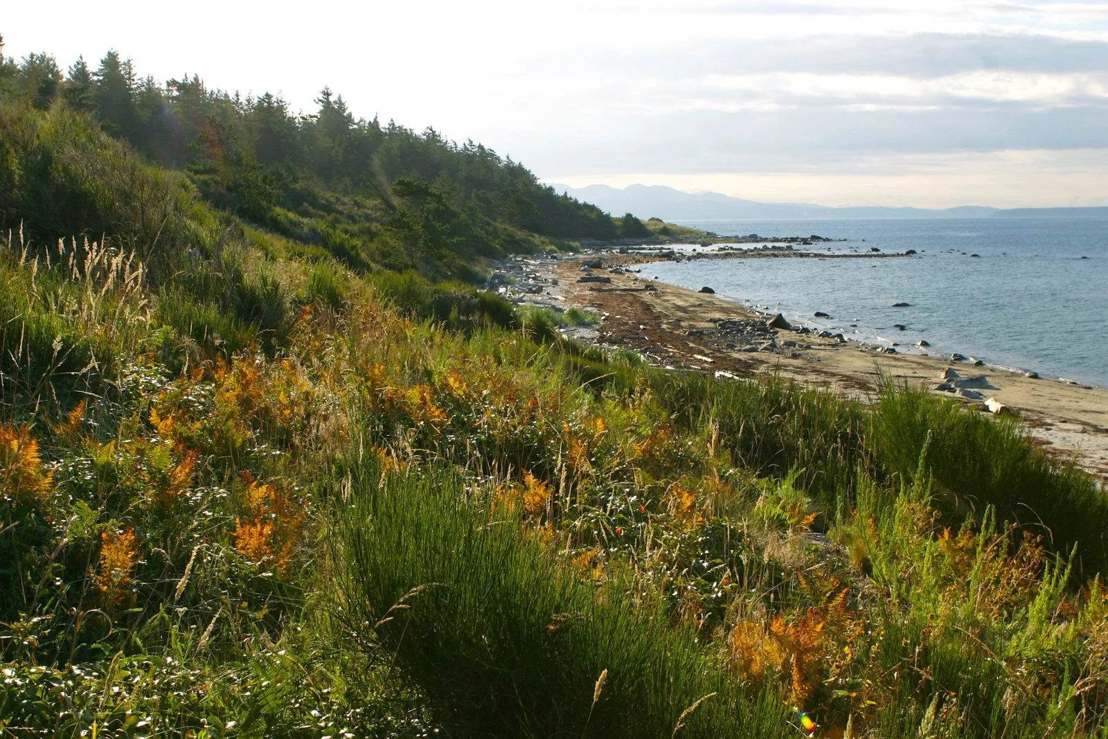 Community Steps Up to Save the Heart of Savary Island