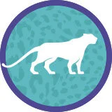 Onca_icone_60.jpg
