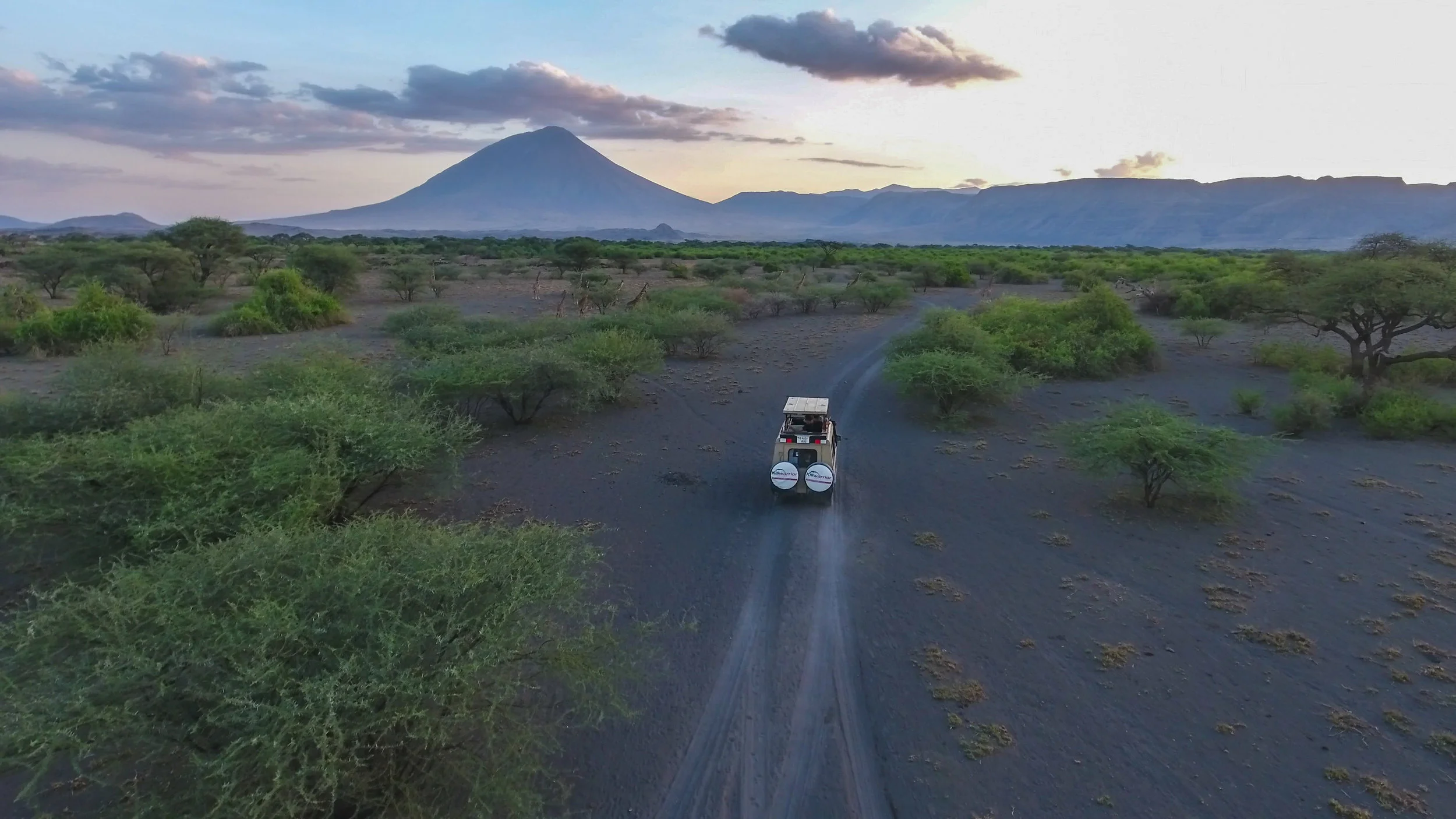 DJI_0015-1.jpg