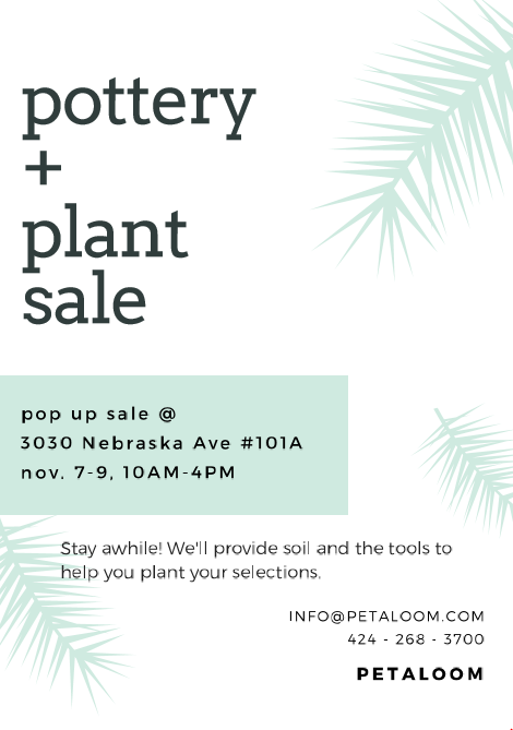 Pop-Up Pottery &amp; Plant Store