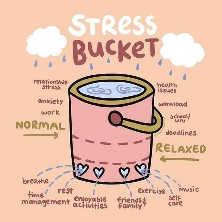 Stress is inevitable. From an Acceptance and Commitment Therapy lens, the goal isn&rsquo;t a stress-free life &mdash; it&rsquo;s learning how to respond to stress effectively.

Imagine stress filling a bucket. Coping skills like movement, rest, breat