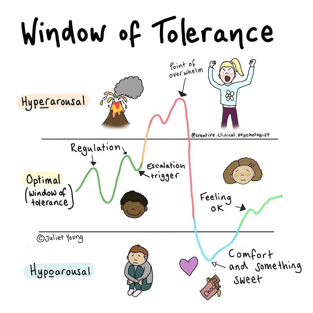The window of tolerance is the zone where we feel regulated and able to cope. When overwhelmed, we may move into hyperarousal (anxiety, anger), and later into hypoarousal (numbness, disconnection). Emotions rise and fall like waves. With awareness an