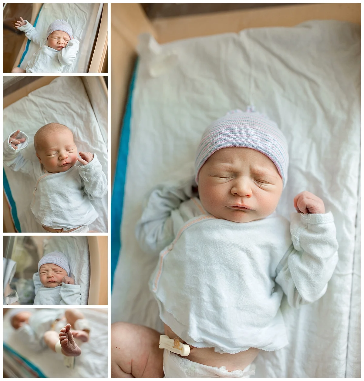 Gainesville Newborn.jpg