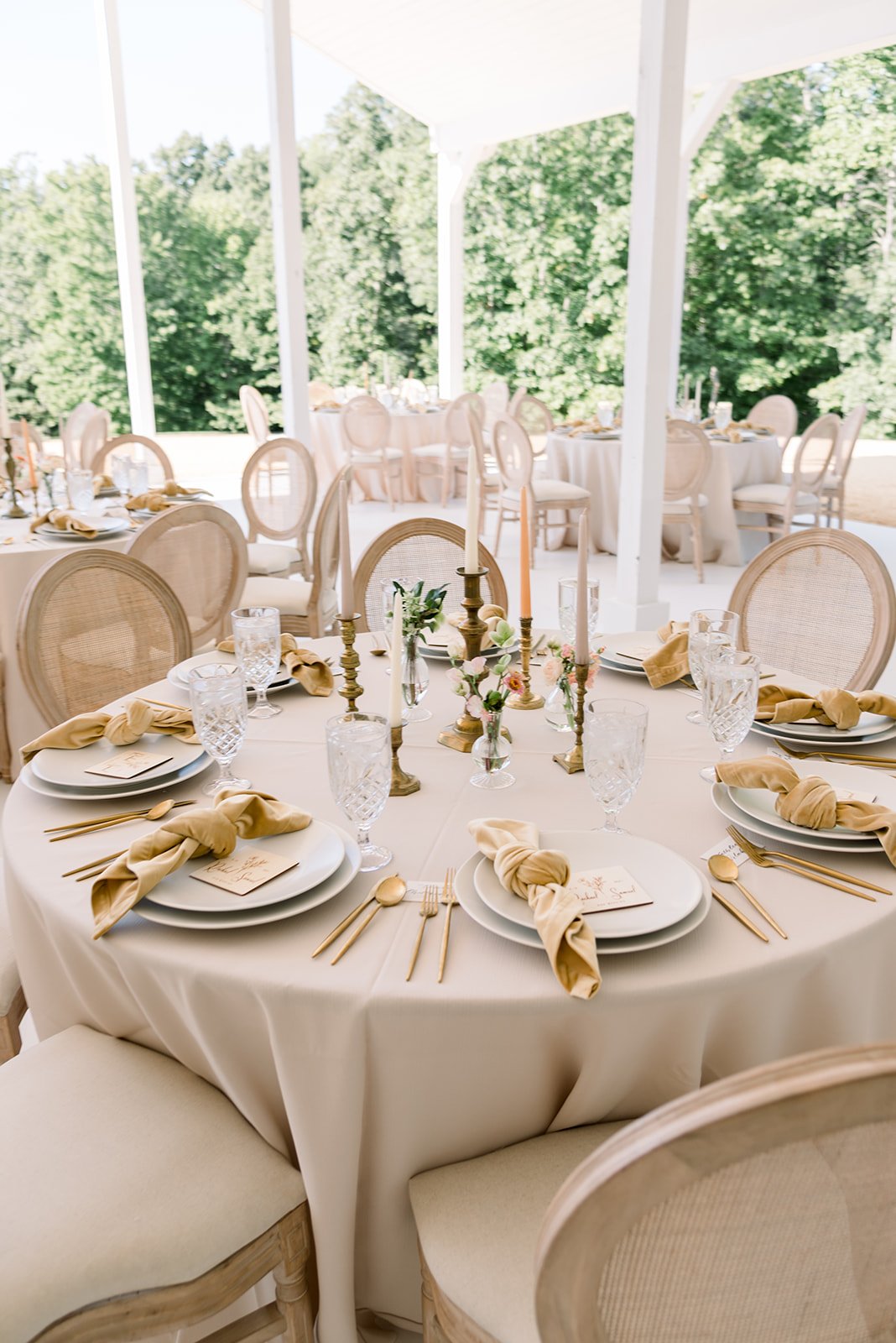 Reception (30 of 380).jpg