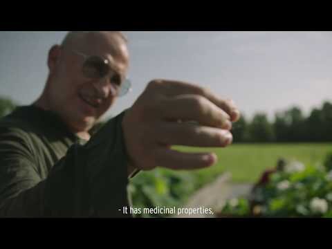 The Story of Super Lotus