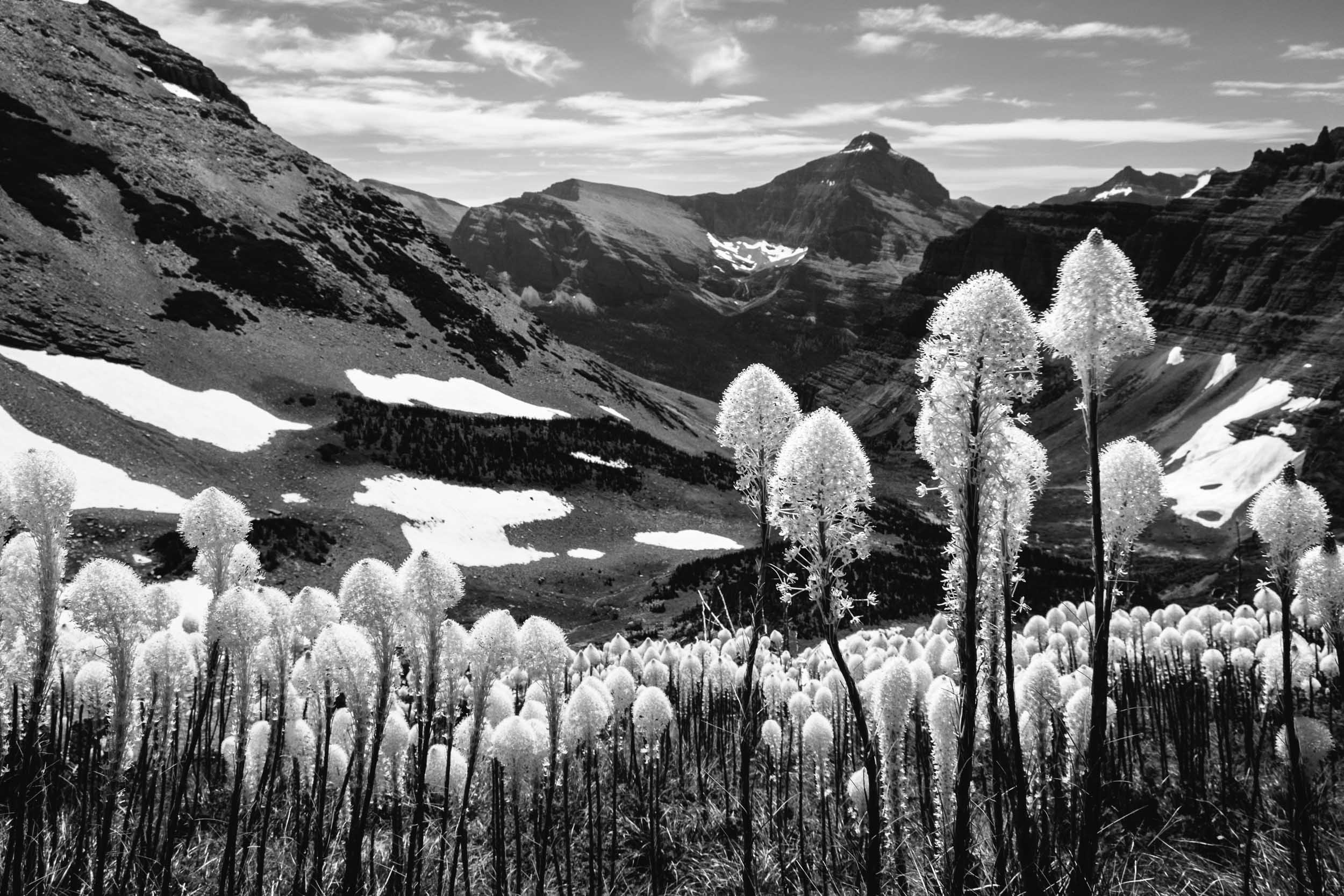 Glacier-National-Park-Photography-3352.jpg