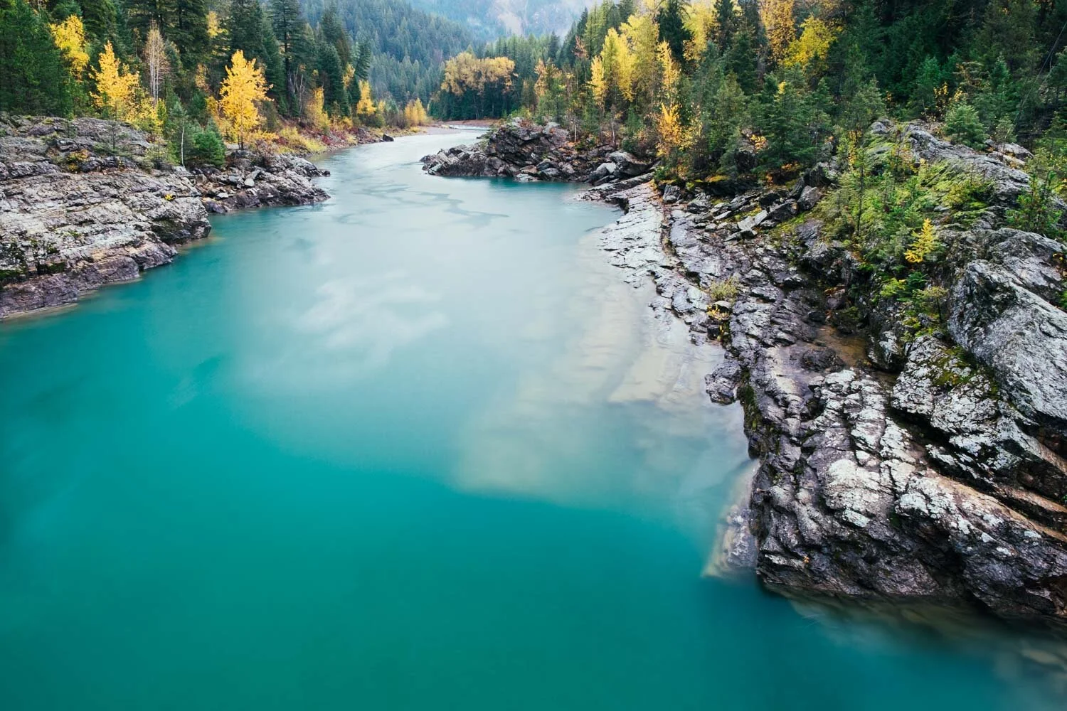 2-SarahEhlen--7 (1).jpg