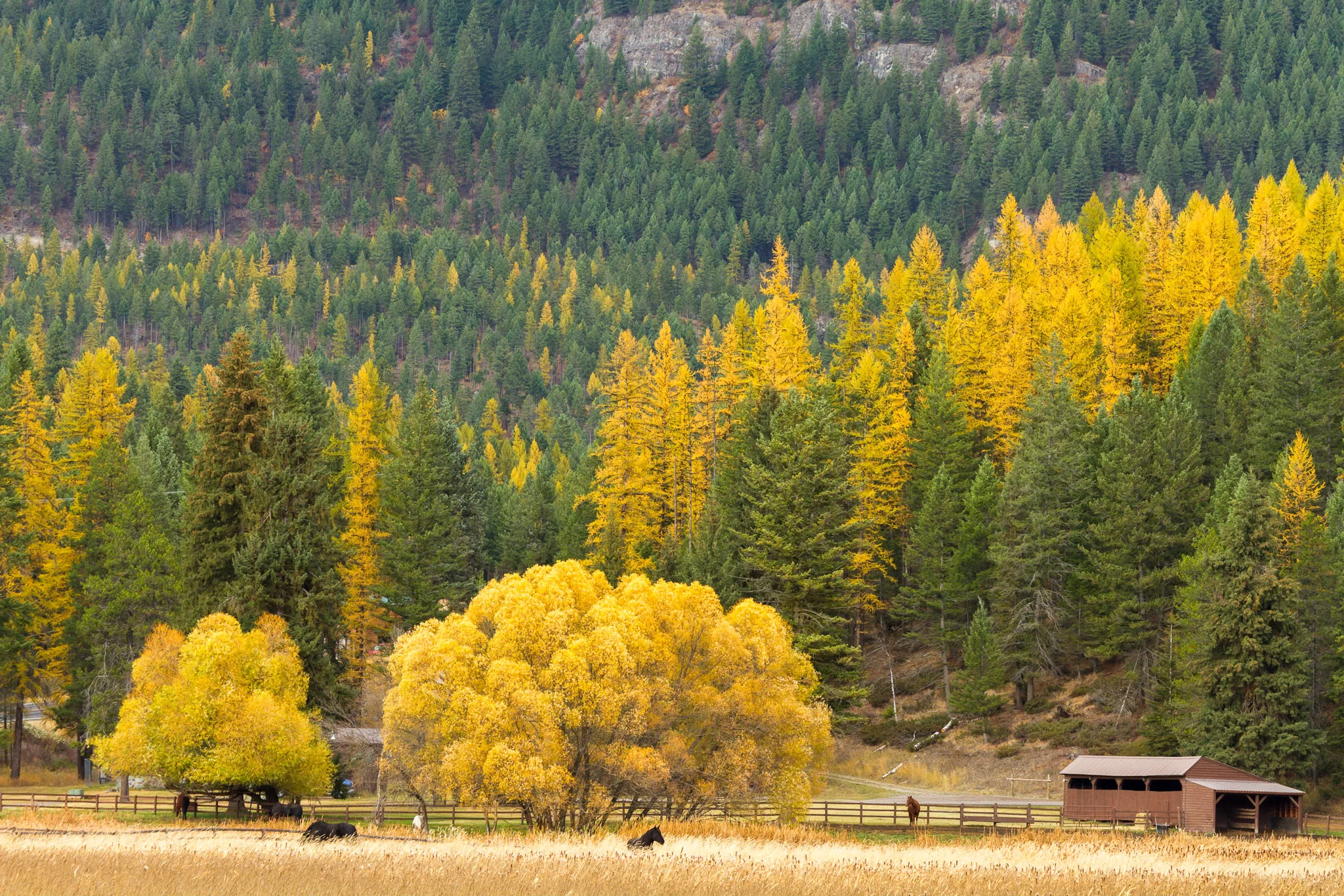 DMarx-2012-10-16-3294-Edit.jpg
