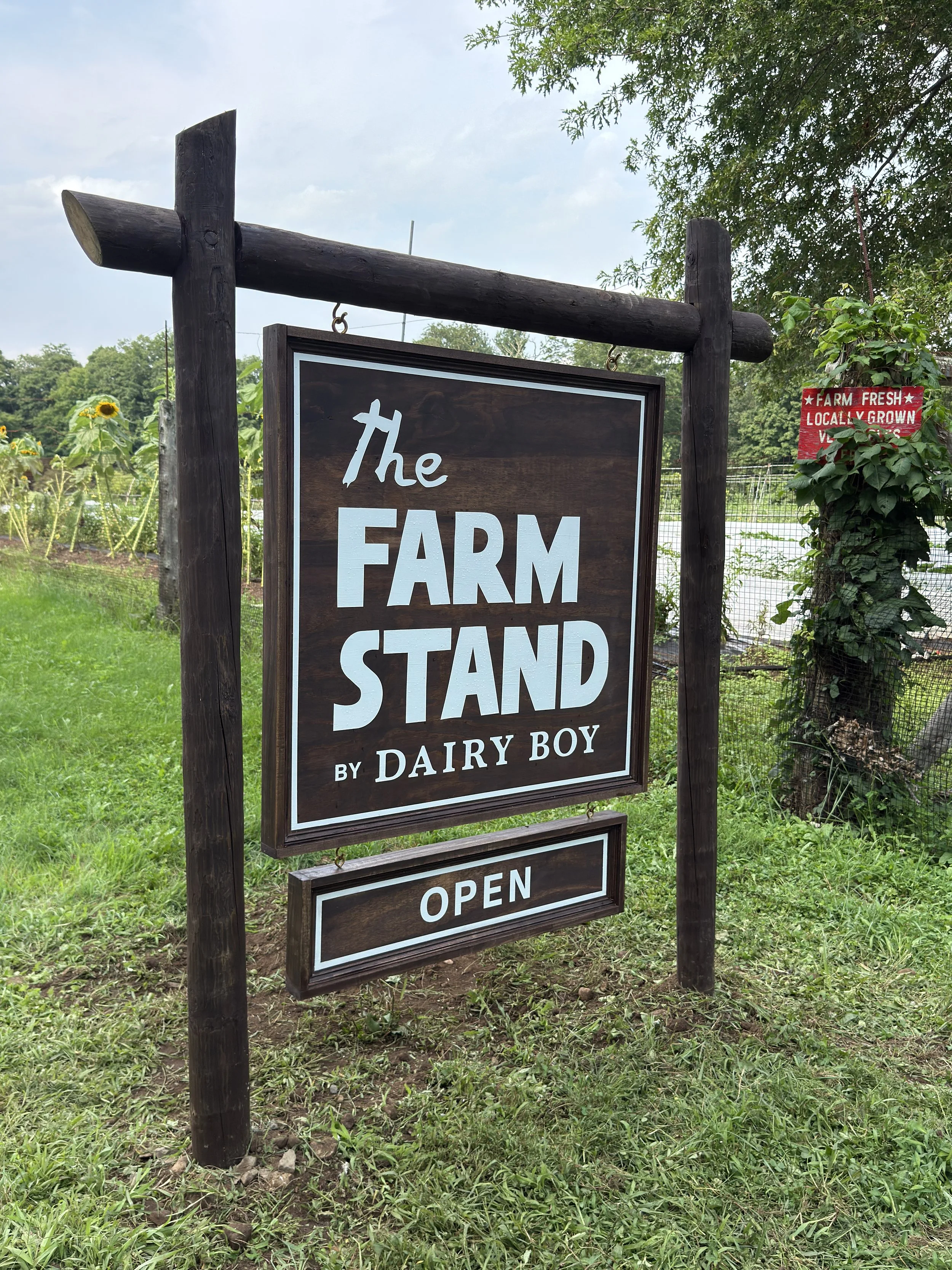 Dairy Boy 