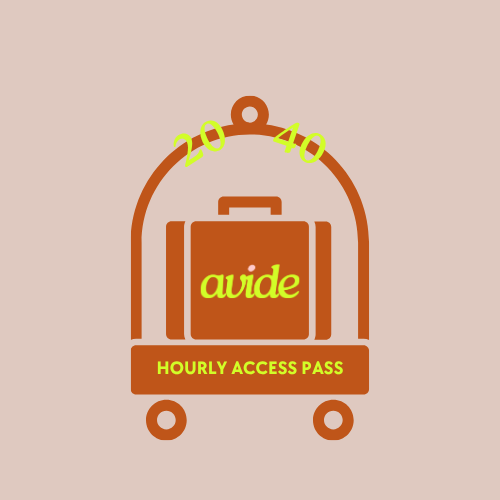 Avide Consulting Hourly Access Pass for Business Owners and Founders - Marketing and Consulting.png