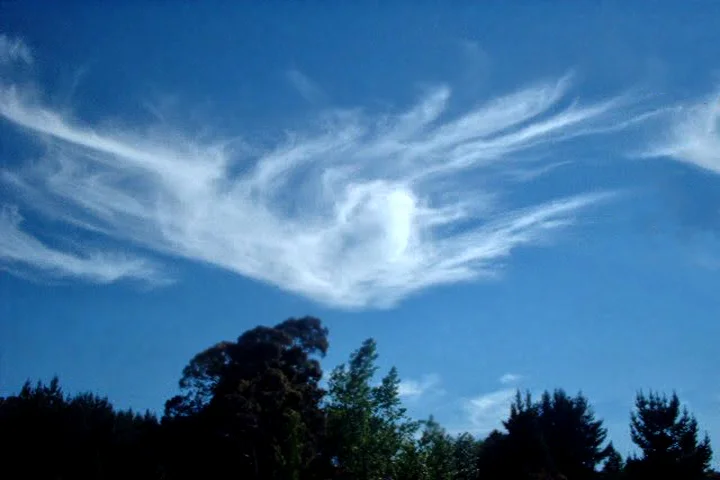 Angel in the Sky in New Zealand 2001 © Carmen Froment