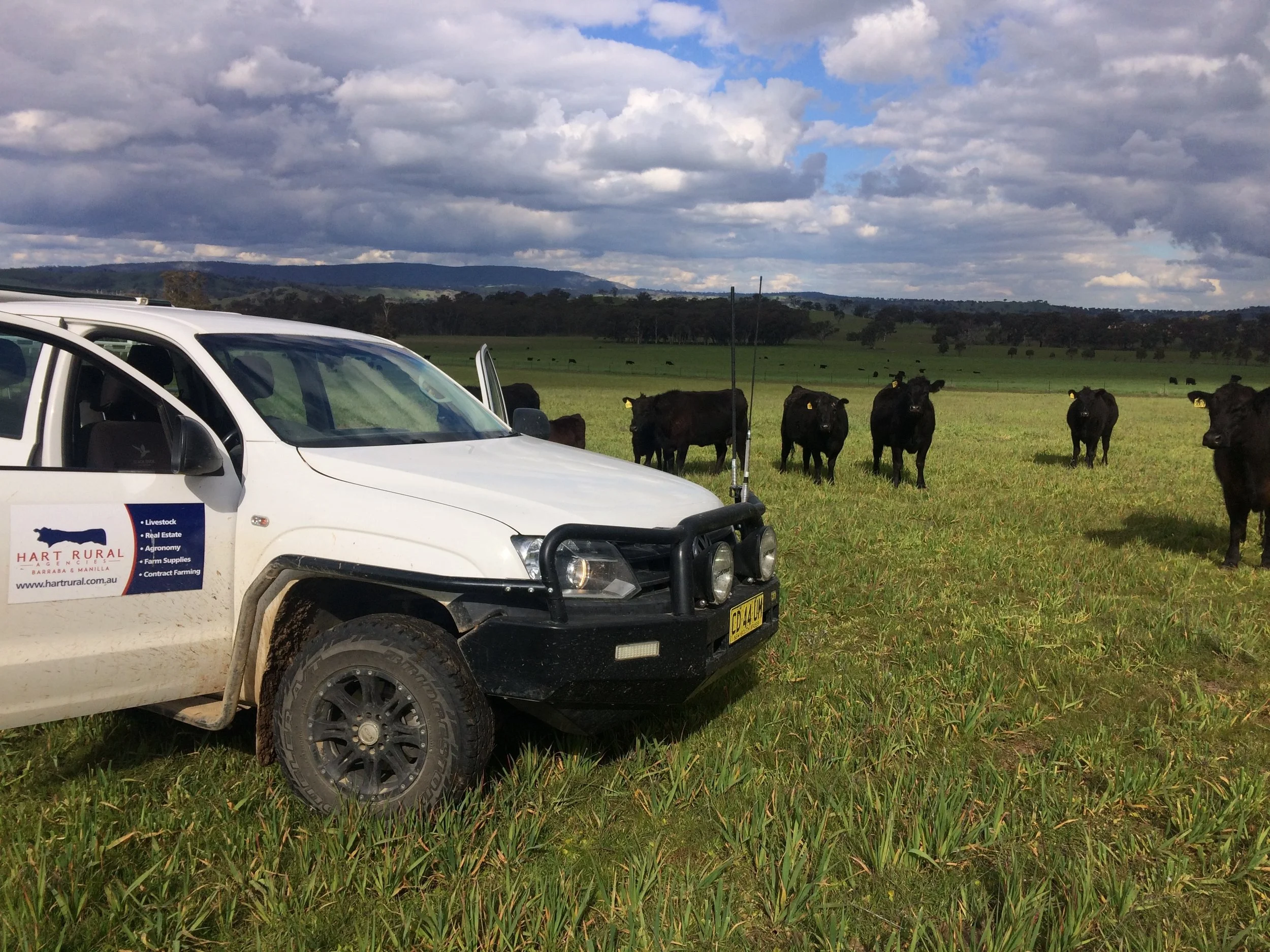 Hart Rural Agencies —