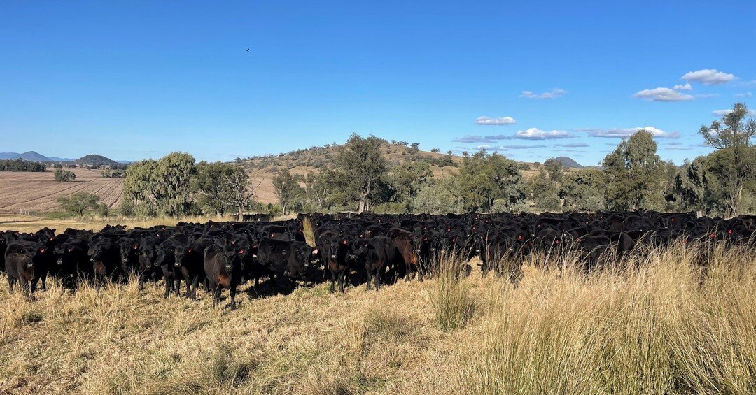 Hart Rural Agencies —