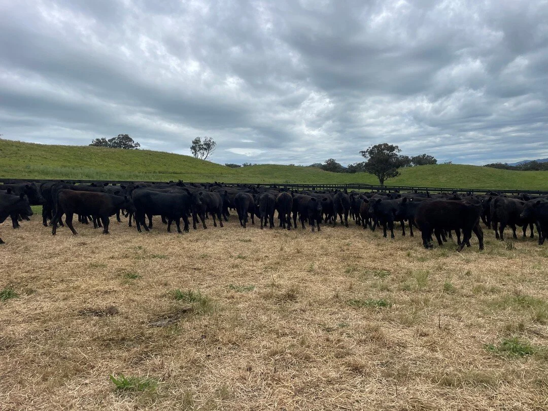 Hart Rural Agencies —