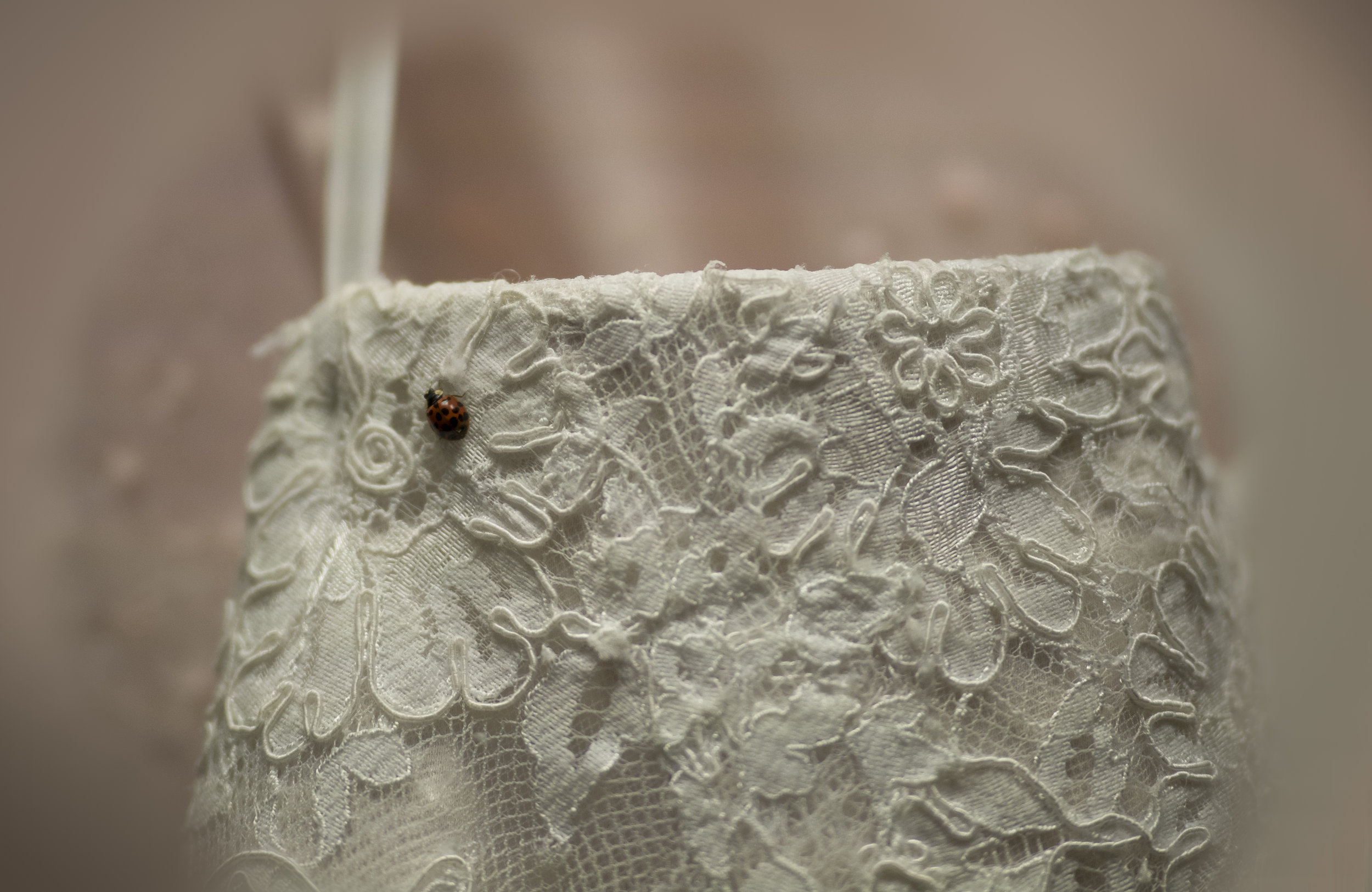 wedding 1-210039.jpg