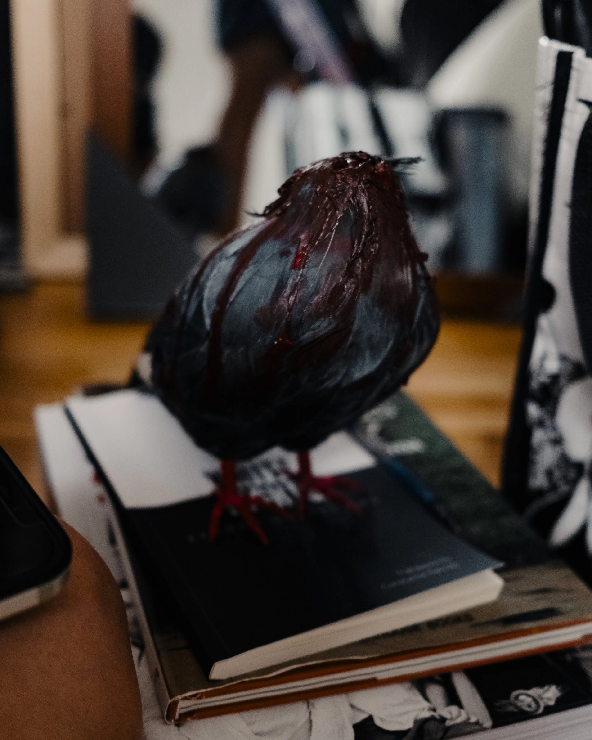 00SeagullBTSD4_23.jpg