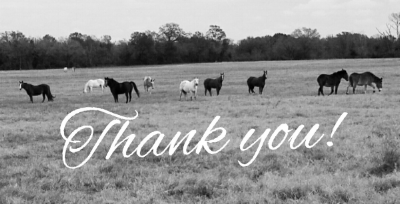 Thank You.png