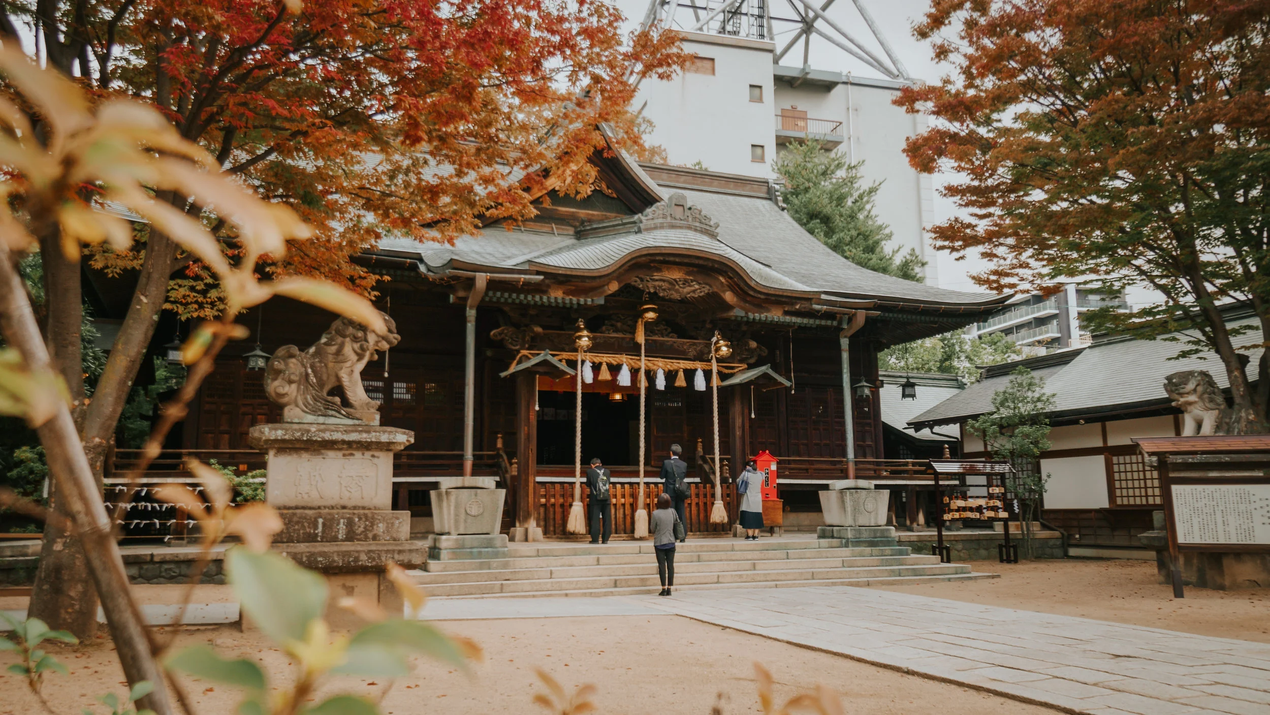polywander-what-to-do-in-matsumoto-temples.jpeg