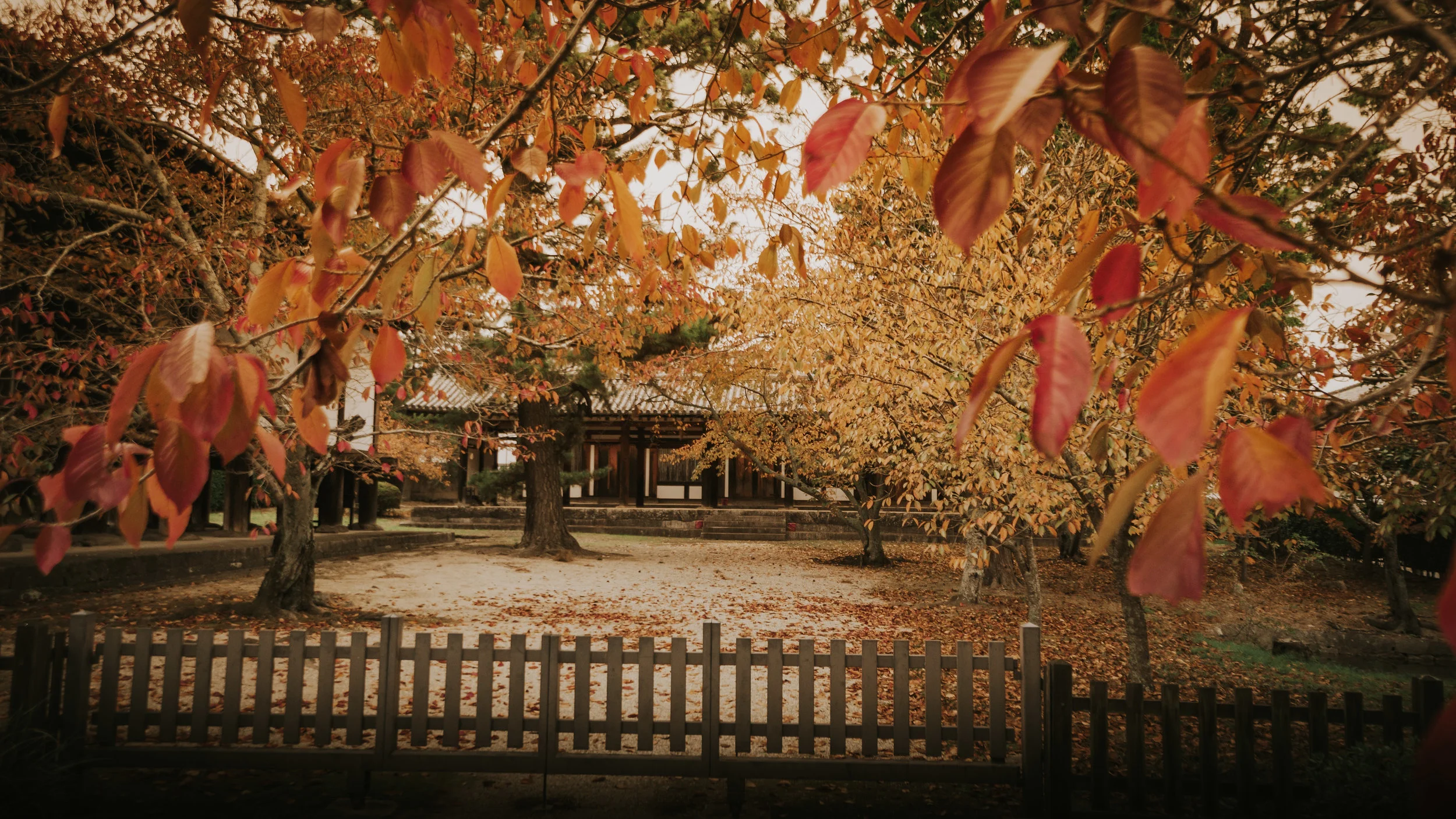 polywander-what-to-do-in-nara-japan-on-a-budget (3).jpeg